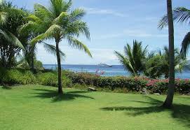 tropical zone image